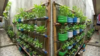 8 Cara Membuat Kebun Vertikal dari Galon Bekas dan Botol Plastik di Lahan Sempit