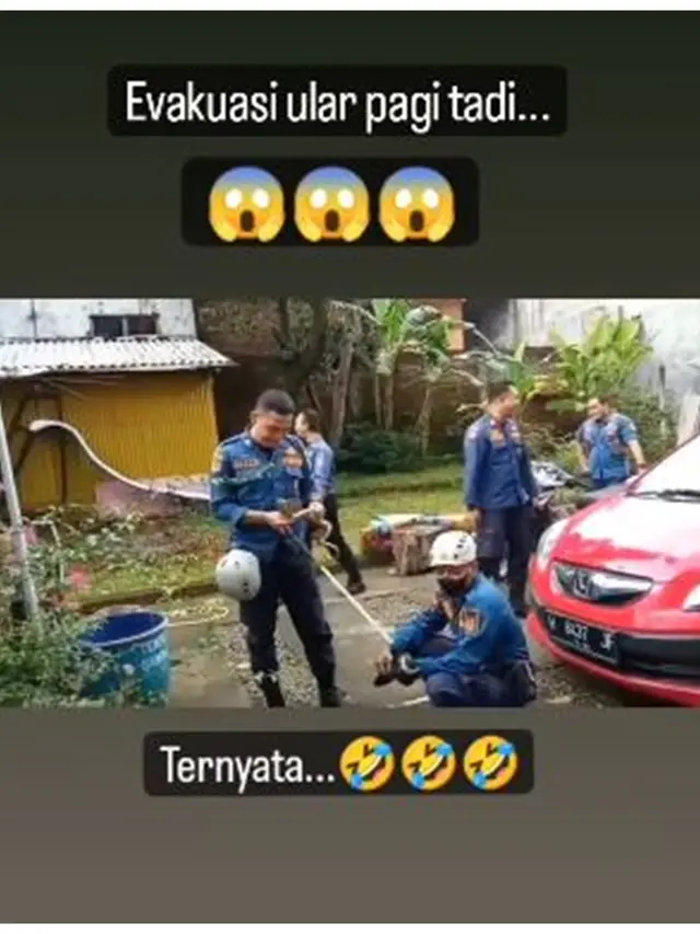 Petugas Damkar Ini Dibuat Ngakak saat Tangkap Ular di Tanaman, Netizen: Kena Prank