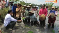 Jokowi juga menanyakan tentang harga bibit dan beberapa sarana pertanian yang berlaku di Desa Kauman, Ngawi, Jawa Timur (Liputan6.com/Herman Zakharia)
