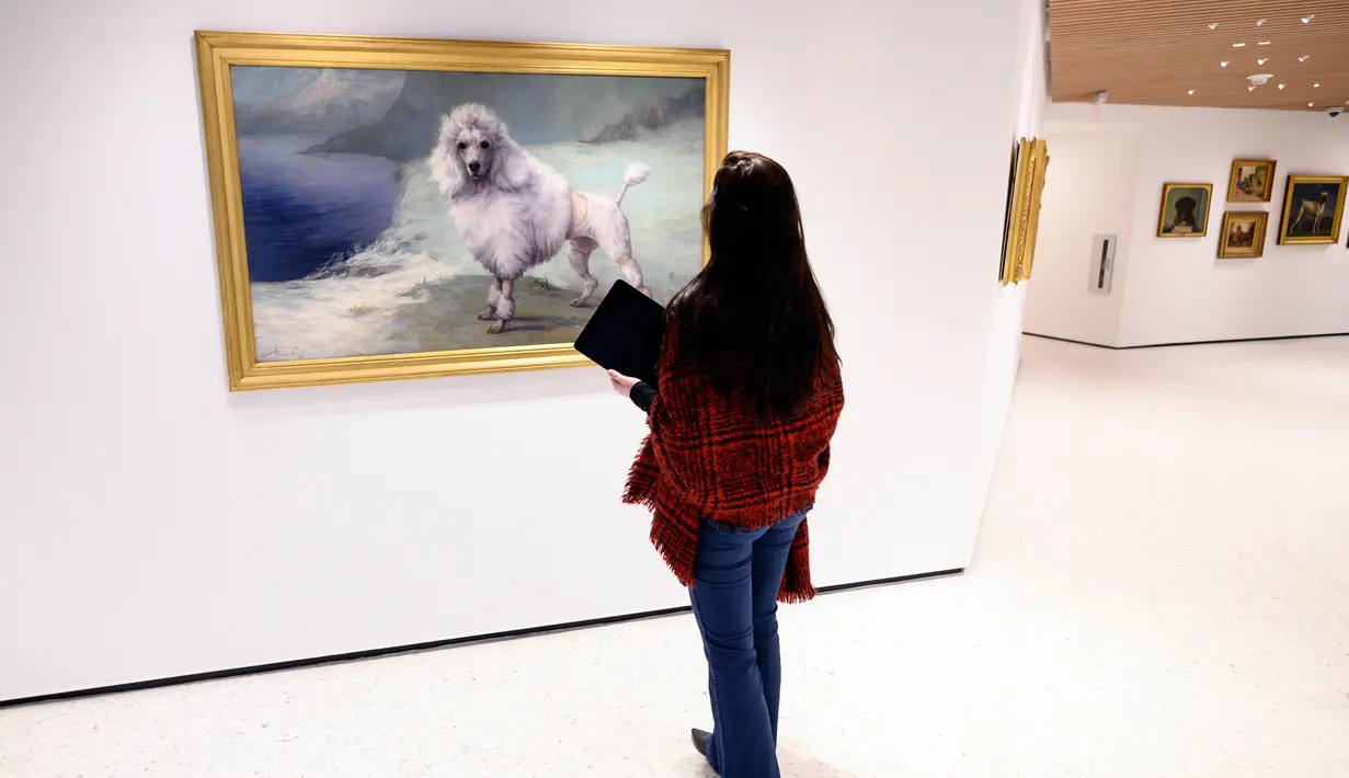 Seorang pekerja di museum anjing bernama Museum of the Dog di New York City, 1 Februari 2019. Museum yang disponsori oleh American Kennel Club Museum of the Dog ini akan memamerkan aneka macam karya seni bertema anjing. (Johannes EISELE/AFP)