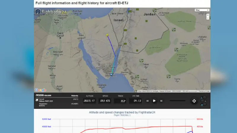 Ada 17 anak dalam pesawat Rusia yang celaka di Mesir