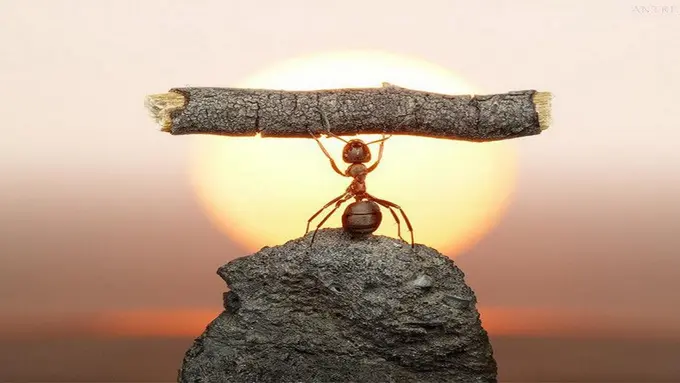 Lebih Baik Kehilangan Masa Muda dari Pada Masa Depan (Part 1)