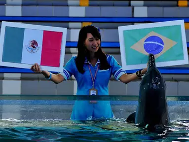 Seekor lumba-lumba tampak menunjuk bendera Brasil saat diminta untuk meramal pertandingan antara Meksiko VS Brasil (Liputan6.com/Andrian M Tunay)