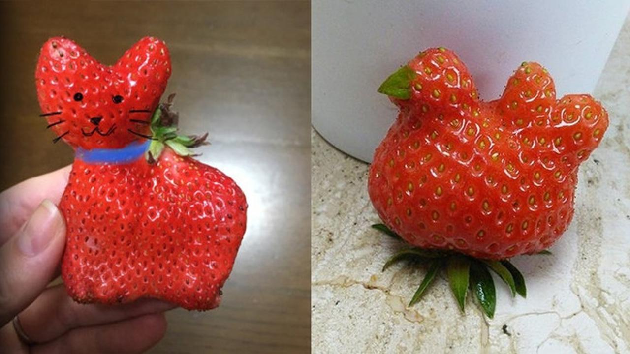 6 Bentuk Stroberi Ini Unik Banget, Bikin Terheran Heran