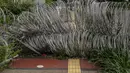 Kawat berduri membentang menghalangi jalur pejalan kaki atau pedestrian di Jalan Gatot Subroto, Jakarta, Selasa (2/2/2021). Keberadaan kawat berduri tersebut mengganggu akses pejalan kaki serta menutup jalur pemandu khusus penyandang disabilitas (guiding block). (Liputan6.com/Faizal Fanani)