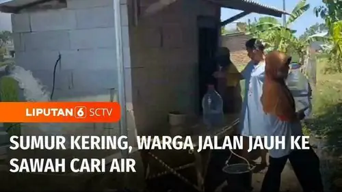 VIDEO: Krisis Air di Magetan, Warga Terpaksa Berjalan Jauh ke Sawah Ambil Air