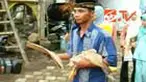Sekolah berkualitas tetapi tidak mahal, tentu menjadi impian semua orang. Di Banyuwangi, Jawa Timur, sebuah sekolah mewajibkan para siswa membayar uang sekolah dengan sayur mayur, buah-buahan atau hewan ternak. 