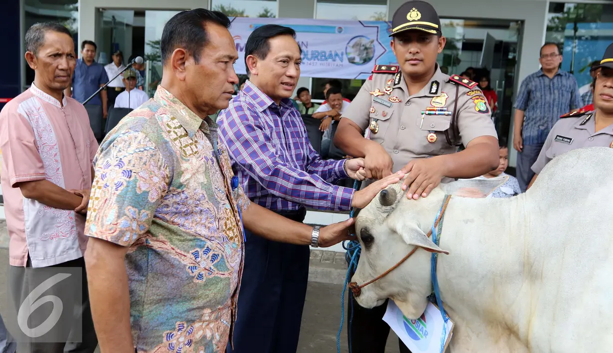 Direktur SCM, Imam Sudjarwo menyerahkan hewan kurban di kantor Indosiar, Jakarta, Jumat (9/9). SCM menyerahkan secara simbolik 5 ekor sapi dan 57 ekor kambing kepada Kelurahan, Koramil, Polsek dan Biro di seluruh Indonesia. (Liputan6.com/Helmi Afandi)