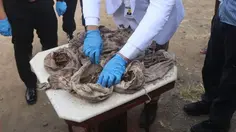 Misteri Puluhan Kafan Berisi Tulang di Magelang Terungkap