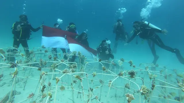 Tour de Terumbu