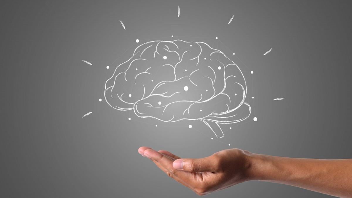 10 Cara Meningkatkan IQ, Bisa Dilatih Lewat Kebiasaan Sehari-hari