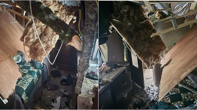 6 Potret Pohon Tumbang Akibat Angin Puting Beliung Ini Ngeri, Hantam Rumah