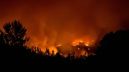 Pandangan udara saat kobaran api melahap hutan di wilayah Santiago, Chile (20/1). Presiden Michelle Bachelet mengatakan kebakaran ini terbesar dalam sejarah Chile. (AFP Photo/Martin Bernetti)