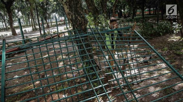 Pagar Tanaman di Stadion Utama GBK Rusak