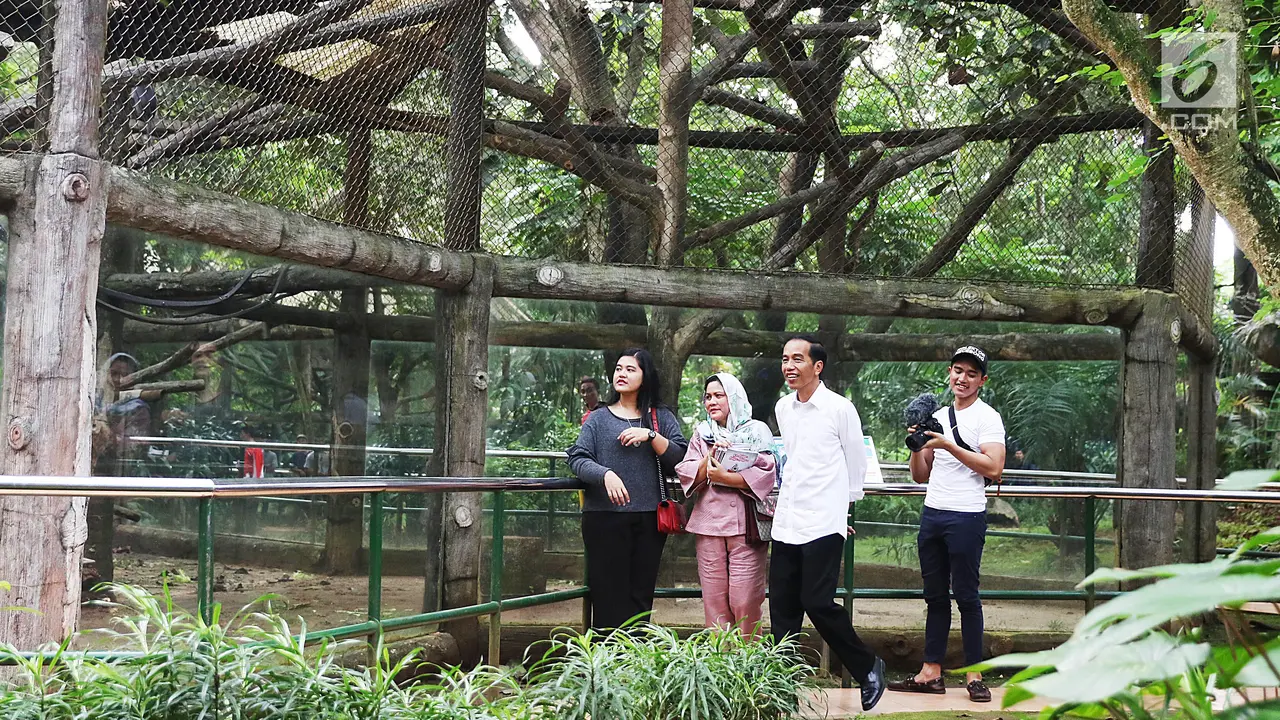 Jokowi ke Ragunan