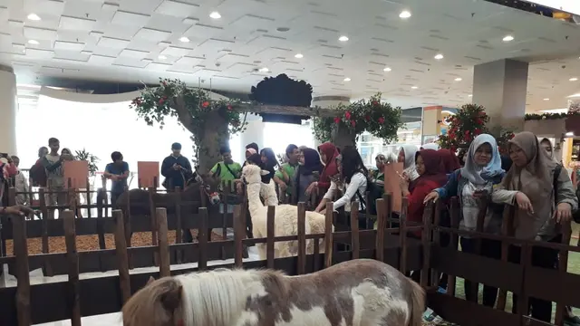 Keledai Mini di Tangcity Mall