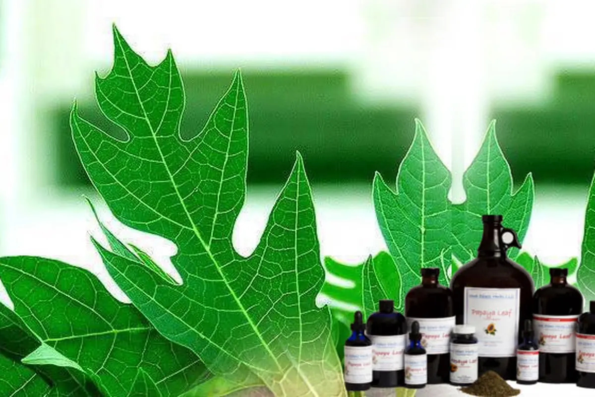 herbal-pepaya-140213a.jpg