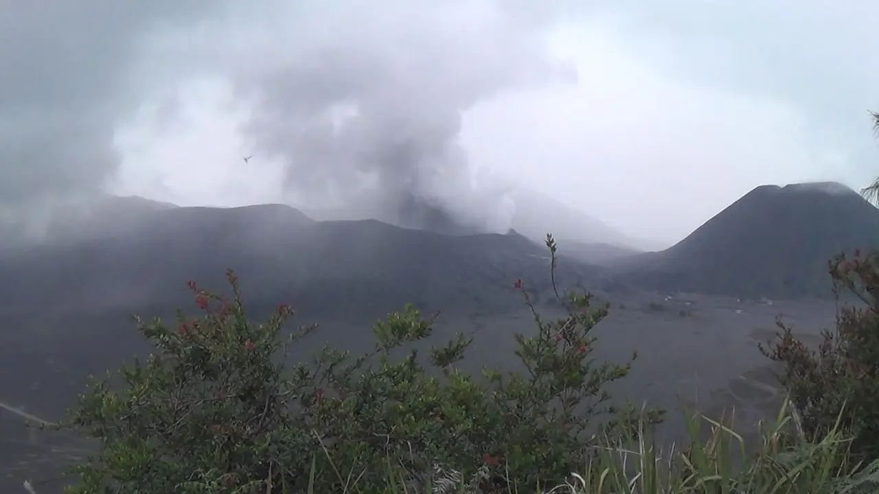 Aktivitas Gunung Bromo Berangsur Normal