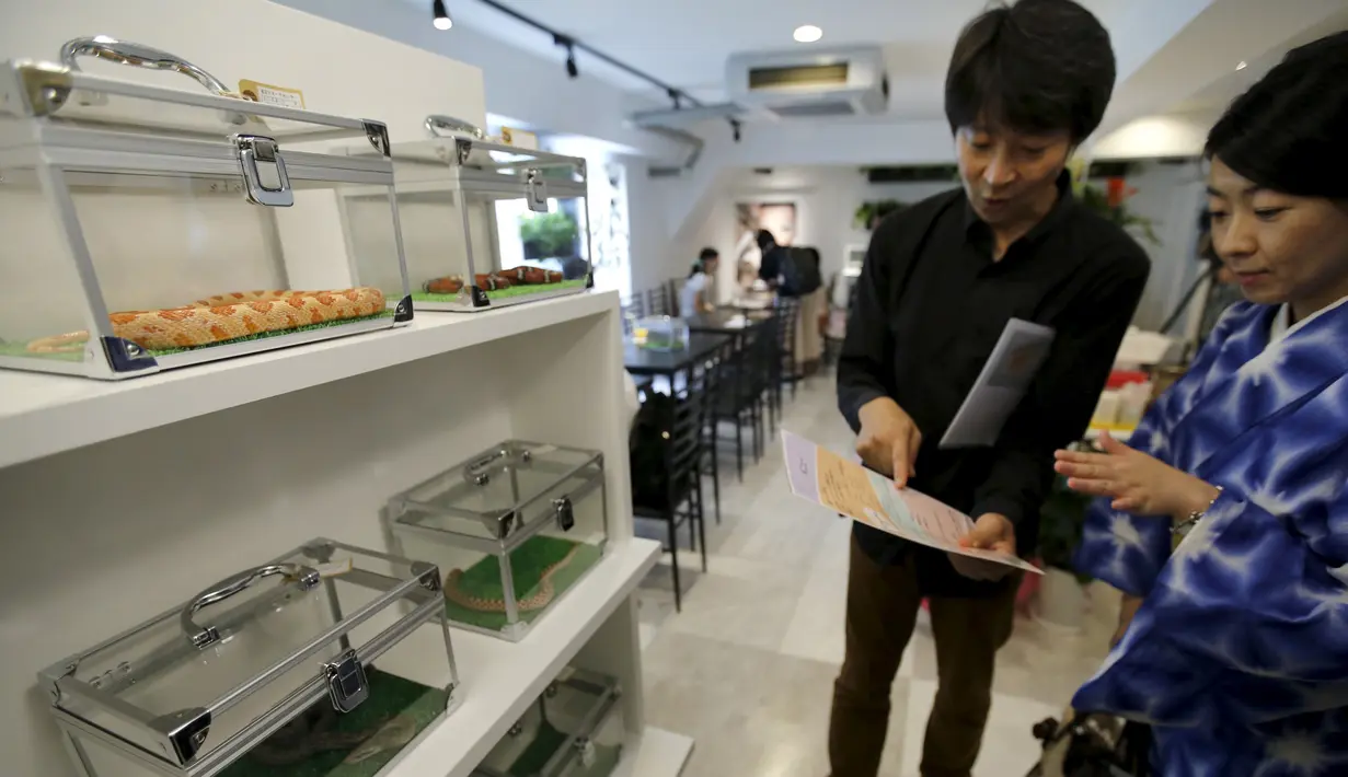 Pelanggan memilih ular yang untuk menemaninya makan di sebuah kafe ular 'Tokyo Snake Center' di distrik fashion Harajuku, Tokyo, 14 Agustus 2015. Di kafe ini, pengunjung bisa menikmati aneka hidangan sambil ditemani ular. (REUTERS/Toru Hanai)