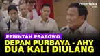 Presiden Prabowo Subianto mengungkapkan, swasembada pangan dan energi mutlak harus terwujud