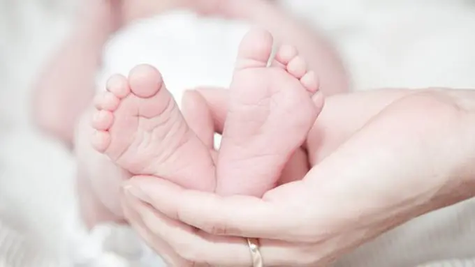 copyright pixabay.com/Rene Asmussen