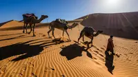 Ilustrasi barisan unta yang sedang berjalan di gurun pasir. (dok. Unsplash/ Sergey Pesterev)