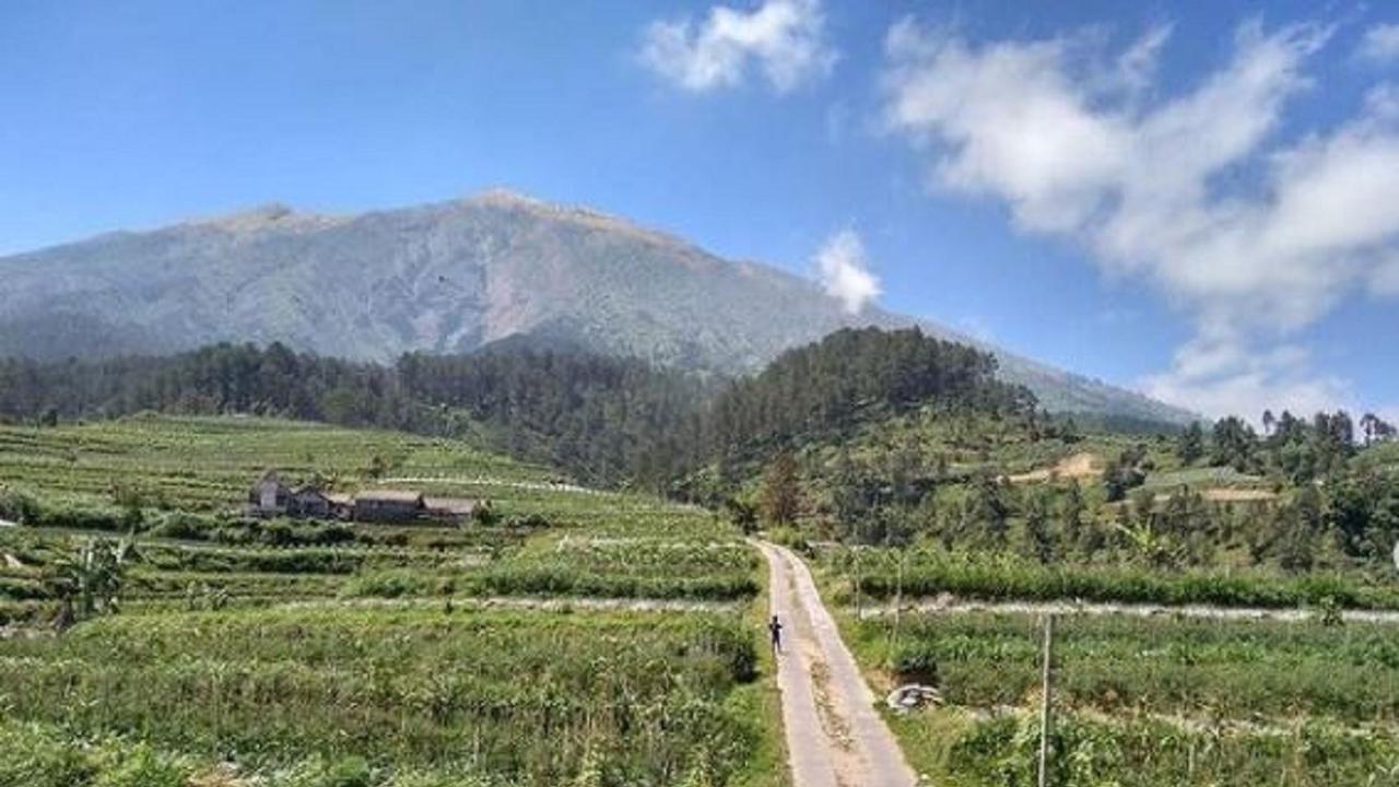 Taman Nasional Gunung Merbabu