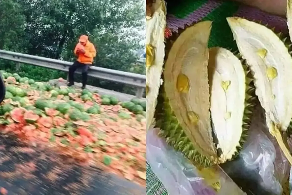 6 Momen Apes Beli Buah, Dari Terjatuh di Jalan Hingga Tak Berisi