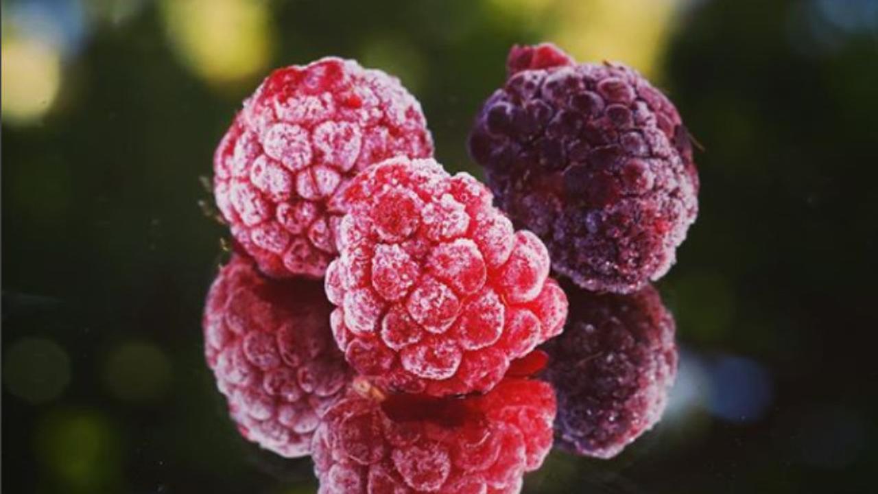 6 Manfaat Mutakhir dari Raspberry untuk Kecantikan
