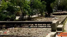 Citizen6: Sungai-sungai yang kotor dan penuh sampah adalah hal lumrah di negeri ini. Sebagian warga diam saja karena merasa bukan tanggung jawab mereka. Mari Kita tingkatkan kesadaran membuang sampah pada tempatnya. (Pengirim: Kusumah)