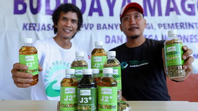 Cairan pupuk organik (Istimewa)