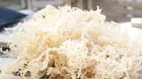 Rahasia Membersihkan Rumput Laut Kering agar Tidak Berbau Garam