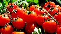 Cara Menurunkan Kolesterol secara Alami dengan Sayur Tomat, Sederhana Tapi Ampuh