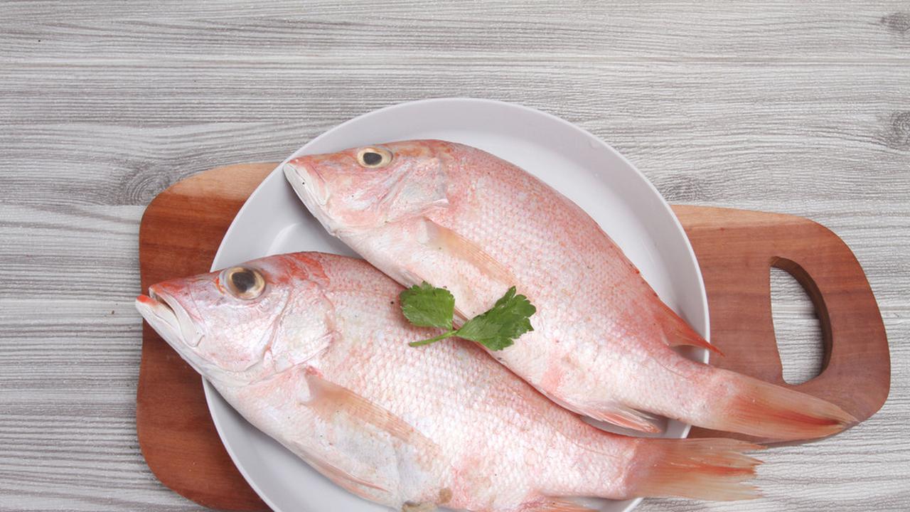 7 Ikan Tinggi Protein yang Penuh Nutrisi