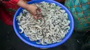 Diketahui, berdasar hasil riset Universitas Indonesia yang menunjukkan ikan dan udang memiliki kandungan gizi lebih baik daripada daging sapi, ayam atau telur. (Juni Kriswanto/AFP)