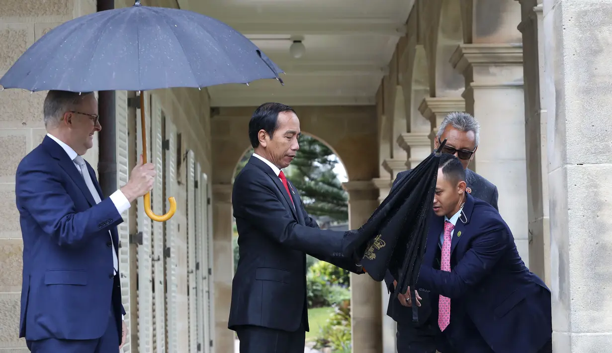 <p>Kegiatan pada hari kedua akan ditutup dengan jamuan makan malam antara Presiden Jokowi dan PM Albanese. (Lisa Maree Williams/Pool Photo via AP)</p>