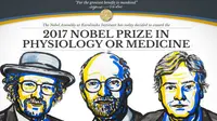Pemenang Nobel Kedokteran 2017, Jeffrey C Hall, Michael Rosbash dan Michael W Young. (NobelPrize.org)