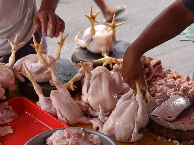Meski Harga Meroket Permintaan Ayam Di Tulungagung Makin Tinggi Surabaya Liputan6 Com