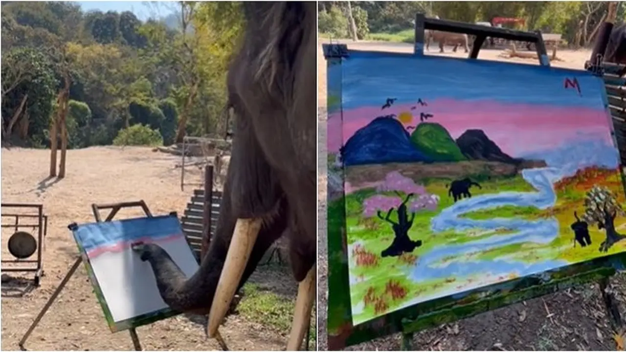 Viral Momen Gajah Bisa Melukis Pakai Belalai Ini Bikin Takjub, Hasilnya Indah