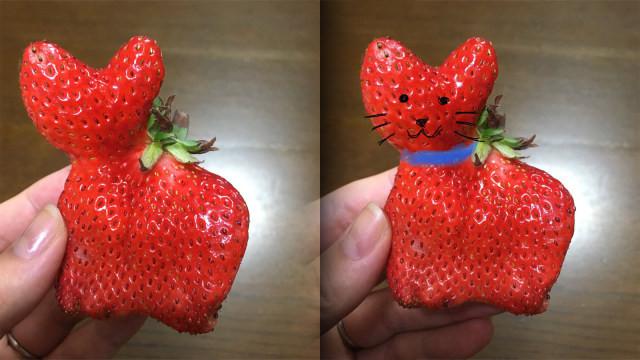 6 Bentuk Stroberi Ini Unik Banget, Bikin Terheran Heran