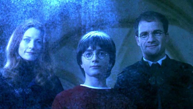 Memastikan dan kesal sendiri karena sebenarnya Harry Potter nggak miliki mata yang sama dengan ibunya di dalam film. (Warner Bros.)