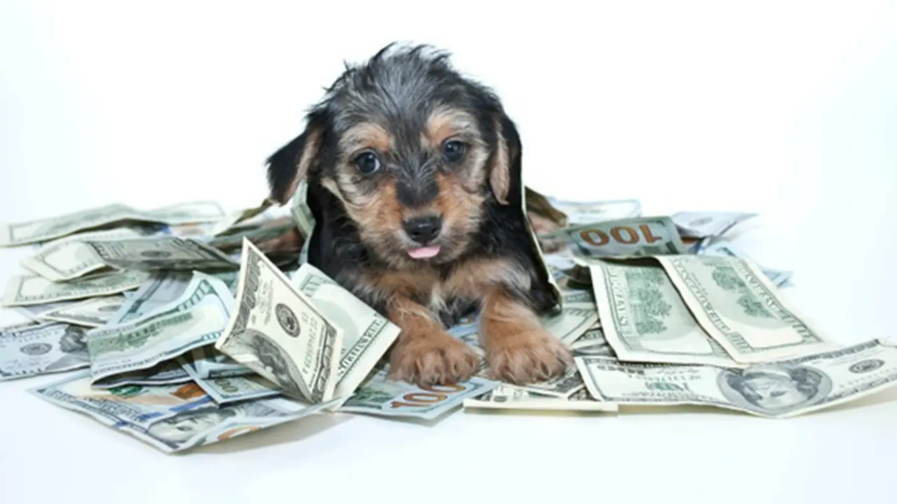 Foto: copyright Thinkstockphotos.com