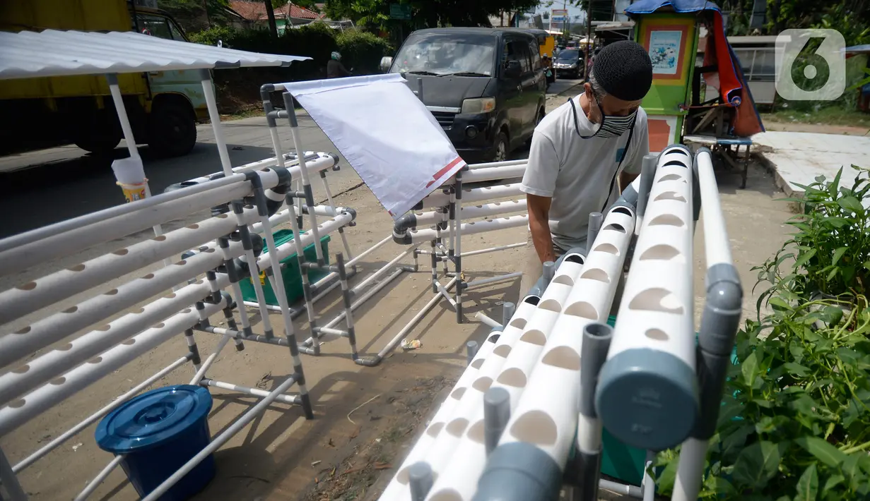 Jalan Raya Parung-Gunung Sindur, Bogor, Jawa Barat, Jumat (21/08/2020). Rakitan pipa PVC hidroponik dan ditambah mesin pompa air dijual dengan harga Rp 475 Ribu hingga Rp 1.3 Juta tergantung ukuran. (merdeka.com/Dwi Narwoko)
