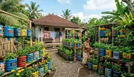 10 Desain Taman Produktif dan Estetik dari Galon Bekas yang Mudah Ditiru