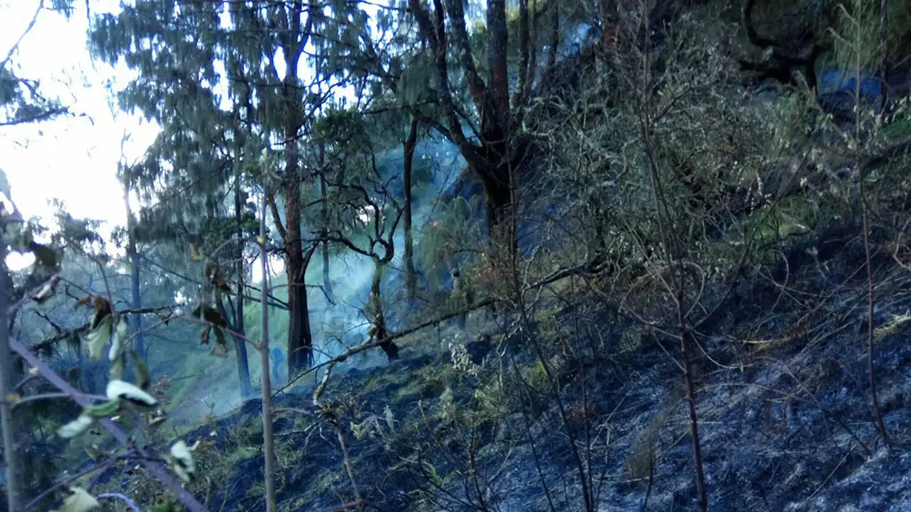 Pemadaman Kebakaran di Gunung Arjuno Butuh Water Bombing