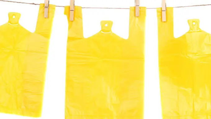 Courtesy ShutterStock.com