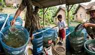 5 Ikan Air Tawar yang Bisa Dipelihara di Galon dari Kecil hingga Panen, Ini Tantangannya