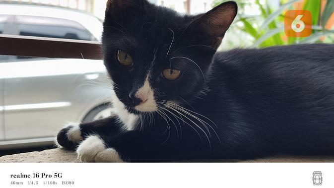 Hasil jepretan kamera Realme 16 Pro. Liputan6.com/Iskandar