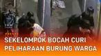 Sekelompok bocah mencuri peliharaan burung warga mengundang perhatian.