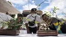 Pengunjung melihat koleksi pohon bonsai yang dipamerkan dalam acara Jengbreng BSC di kawasan Sawangan, Depok, Jawa Barat, Minggu (6/3/2022). Pameran tersebut diikuti oleh 200 peserta dari Jabodetabek. (merdeka.com/Iqbal S. Nugroho)